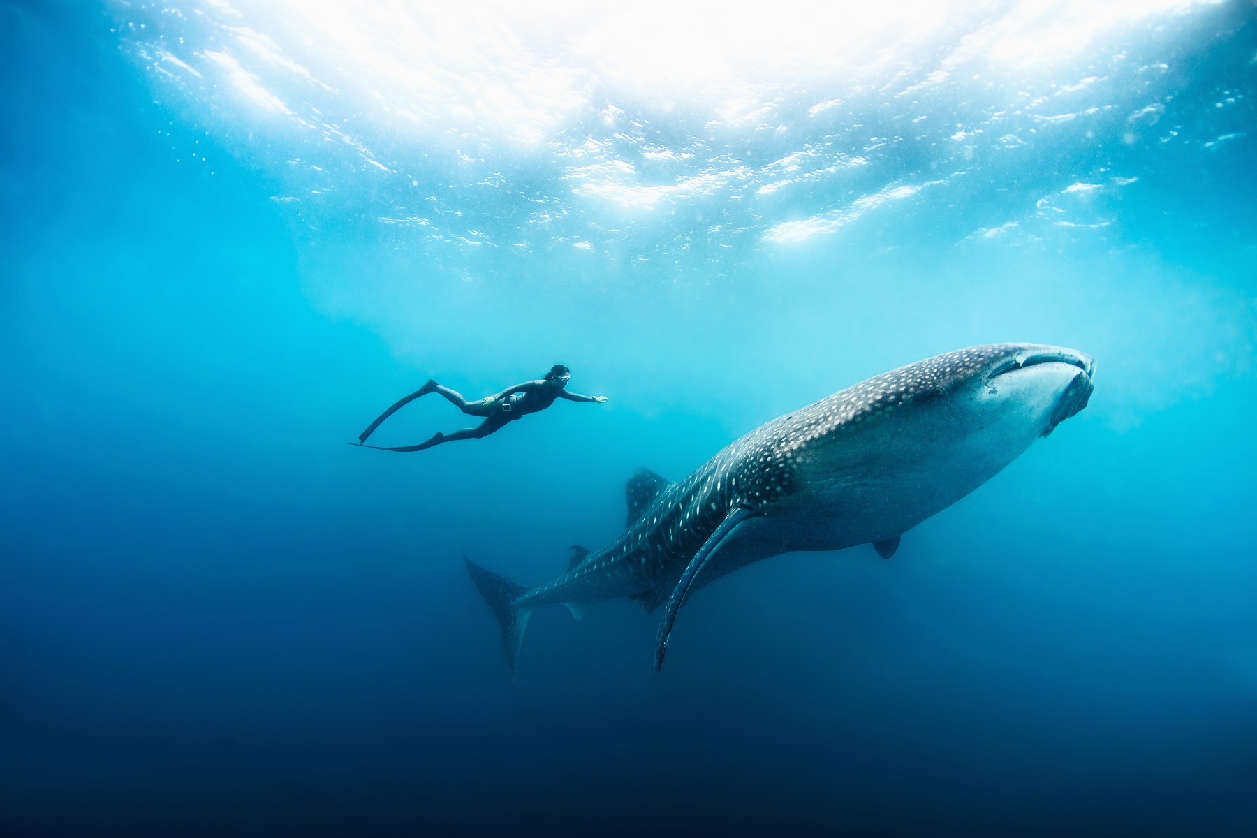 Soneva Fushi